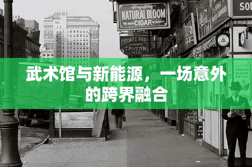 武术馆与新能源，一场意外的跨界融合