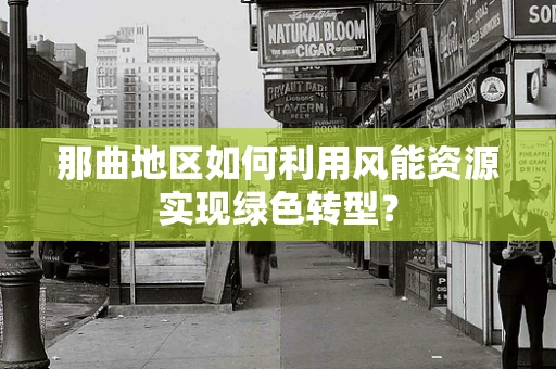 那曲地区如何利用风能资源实现绿色转型？