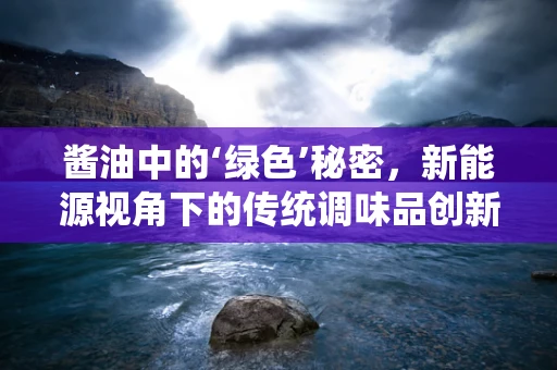 酱油中的‘绿色’秘密，新能源视角下的传统调味品创新
