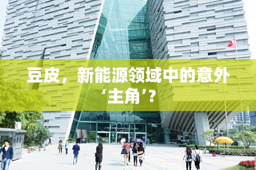 豆皮，新能源领域中的意外‘主角’？