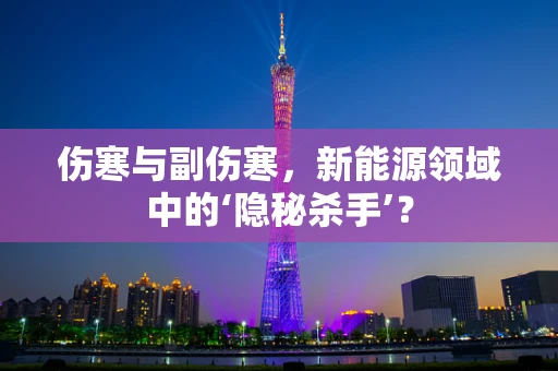 伤寒与副伤寒，新能源领域中的‘隐秘杀手’？