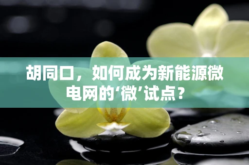 胡同口，如何成为新能源微电网的‘微’试点？