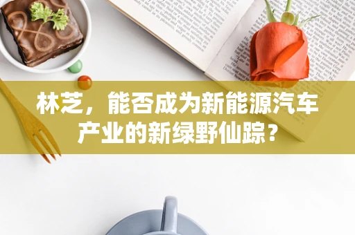 林芝，能否成为新能源汽车产业的新绿野仙踪？