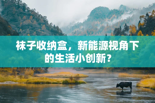 袜子收纳盒，新能源视角下的生活小创新？