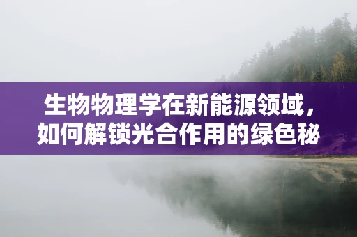 生物物理学在新能源领域，如何解锁光合作用的绿色秘密？