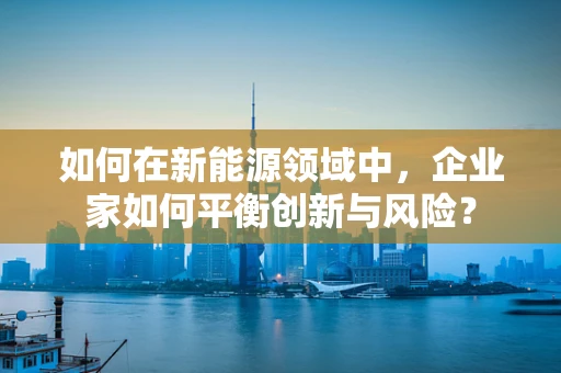 如何在新能源领域中，企业家如何平衡创新与风险？