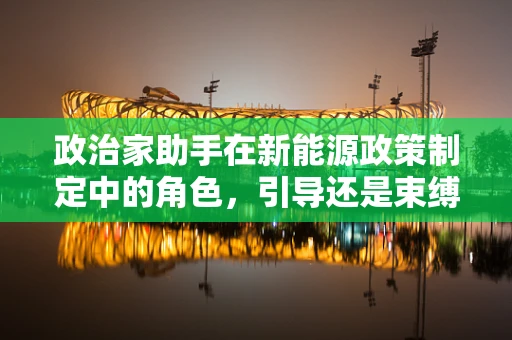 政治家助手在新能源政策制定中的角色，引导还是束缚？