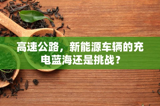 高速公路，新能源车辆的充电蓝海还是挑战？