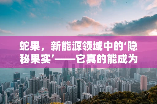 蛇果，新能源领域中的‘隐秘果实’——它真的能成为绿色能源的‘奇迹’吗？