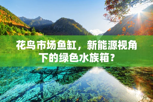 花鸟市场鱼缸，新能源视角下的绿色水族箱？