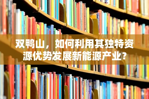 双鸭山，如何利用其独特资源优势发展新能源产业？