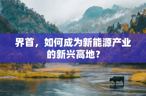 界首，如何成为新能源产业的新兴高地？
