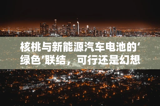 核桃与新能源汽车电池的‘绿色’联结，可行还是幻想？