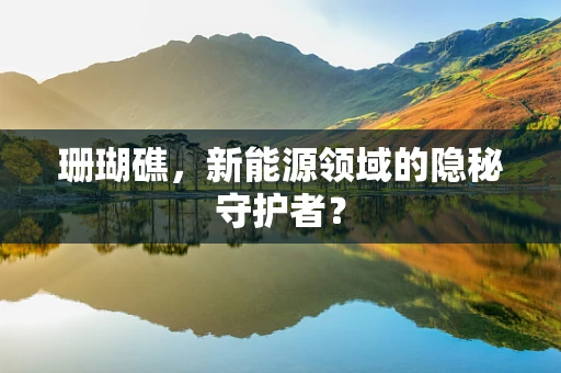 珊瑚礁，新能源领域的隐秘守护者？