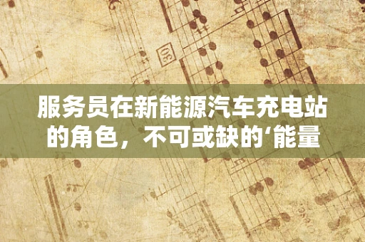 服务员在新能源汽车充电站的角色，不可或缺的‘能量向导’？