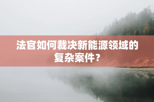 法官如何裁决新能源领域的复杂案件？