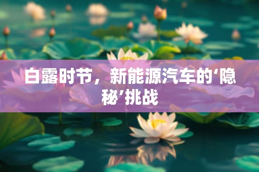 白露时节，新能源汽车的‘隐秘’挑战