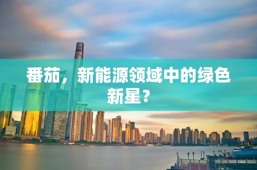 番茄，新能源领域中的绿色新星？