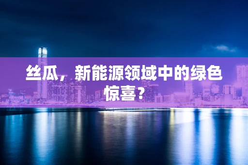 丝瓜，新能源领域中的绿色惊喜？