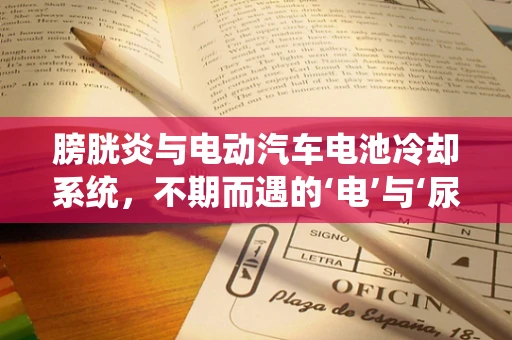 膀胱炎与电动汽车电池冷却系统，不期而遇的‘电’与‘尿’之谜