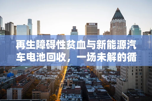 再生障碍性贫血与新能源汽车电池回收，一场未解的循环经济之问？