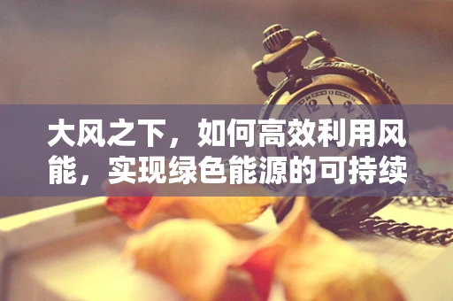 大风之下，如何高效利用风能，实现绿色能源的可持续发展？