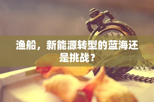 渔船，新能源转型的蓝海还是挑战？