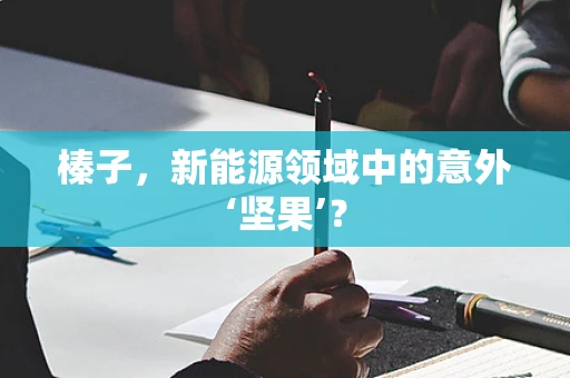 榛子，新能源领域中的意外‘坚果’？