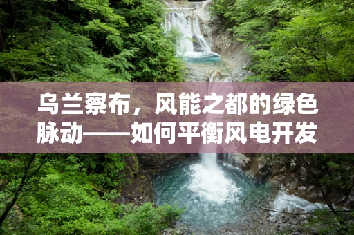 乌兰察布，风能之都的绿色脉动——如何平衡风电开发与生态保护？