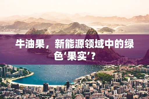 牛油果，新能源领域中的绿色‘果实’？