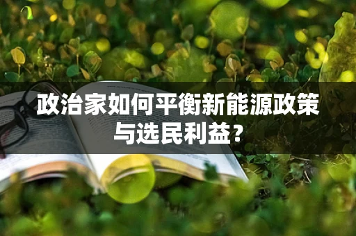 政治家如何平衡新能源政策与选民利益？