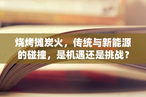 烧烤摊炭火，传统与新能源的碰撞，是机遇还是挑战？