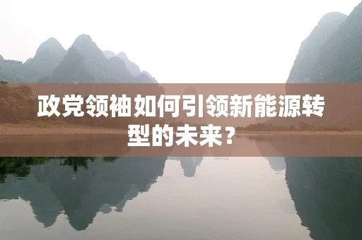 政党领袖如何引领新能源转型的未来？