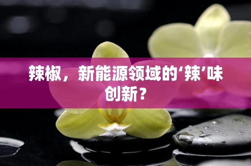 辣椒，新能源领域的‘辣’味创新？