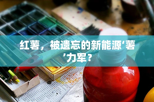 红薯，被遗忘的新能源‘薯’力军？