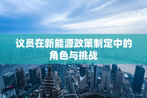 议员在新能源政策制定中的角色与挑战