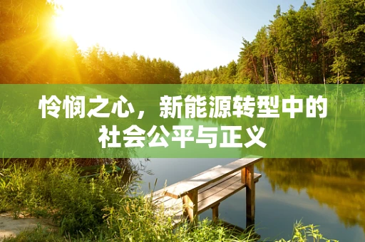 怜悯之心，新能源转型中的社会公平与正义