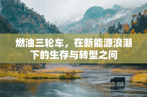 燃油三轮车，在新能源浪潮下的生存与转型之问