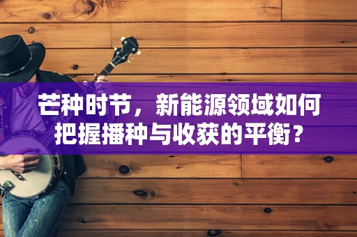 芒种时节，新能源领域如何把握播种与收获的平衡？