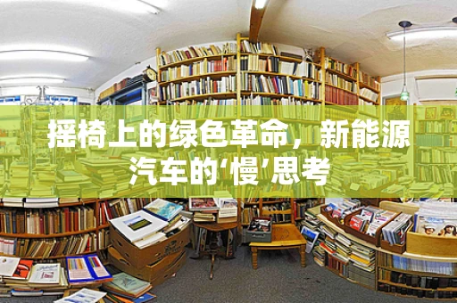 摇椅上的绿色革命，新能源汽车的‘慢’思考