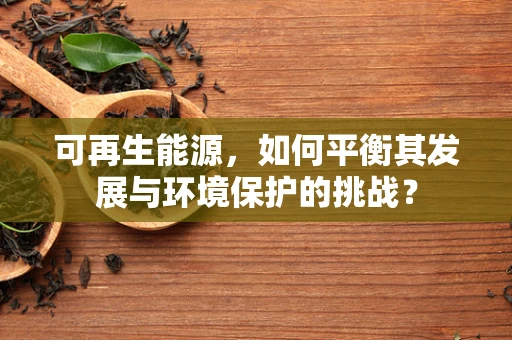 可再生能源，如何平衡其发展与环境保护的挑战？