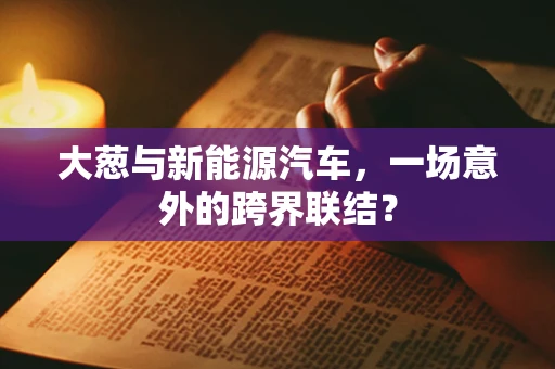 大葱与新能源汽车，一场意外的跨界联结？