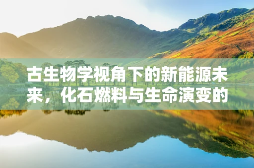 古生物学视角下的新能源未来，化石燃料与生命演变的深层联系