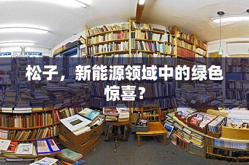 松子，新能源领域中的绿色惊喜？