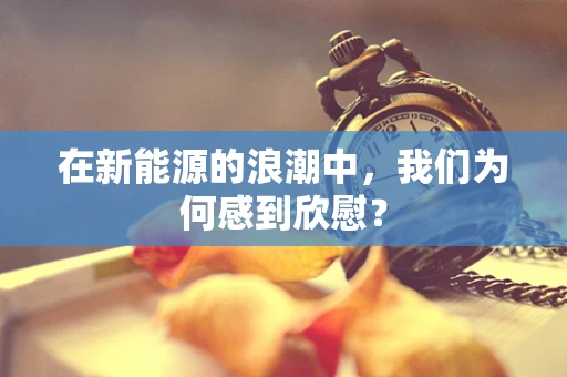 在新能源的浪潮中，我们为何感到欣慰？