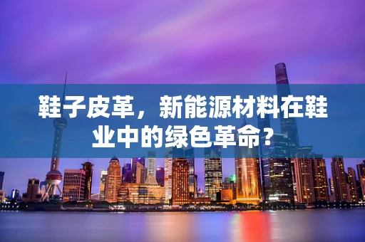 鞋子皮革，新能源材料在鞋业中的绿色革命？
