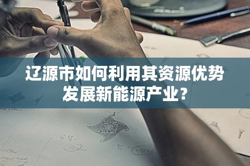辽源市如何利用其资源优势发展新能源产业？