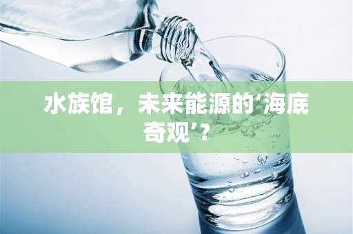 水族馆，未来能源的‘海底奇观’？