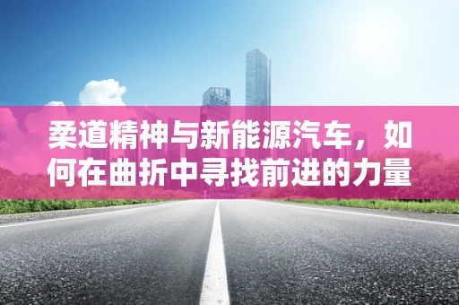 柔道精神与新能源汽车，如何在曲折中寻找前进的力量？