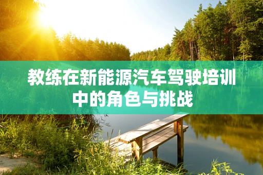 教练在新能源汽车驾驶培训中的角色与挑战